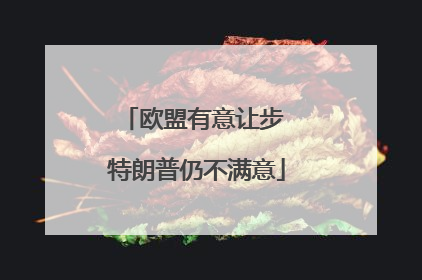 欧盟有意让步 特朗普仍不满意