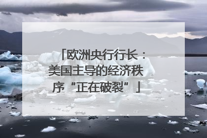 欧洲央行行长：美国主导的经济秩序“正在破裂”