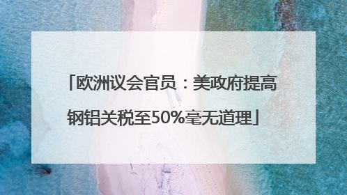欧洲议会官员：美政府提高钢铝关税至50%毫无道理