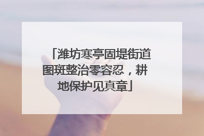 潍坊寒亭固堤街道图斑整治零容忍，耕地保护见真章