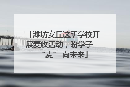 潍坊安丘这所学校开展麦收活动，盼学子 “麦” 向未来