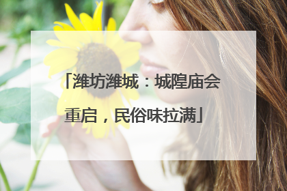 潍坊潍城：城隍庙会重启，民俗味拉满