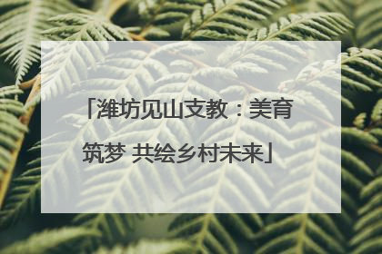 潍坊见山支教：美育筑梦 共绘乡村未来