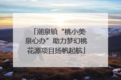潮泉镇“桃小美·泉心办”助力梦幻桃花源项目扬帆起航