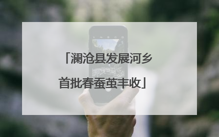 澜沧县发展河乡首批春蚕茧丰收