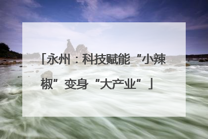 永州：科技赋能“小辣椒”变身“大产业”