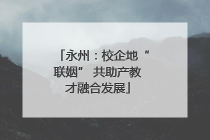 永州：校企地“联姻” 共助产教才融合发展