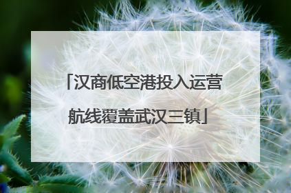 汉商低空港投入运营 航线覆盖武汉三镇