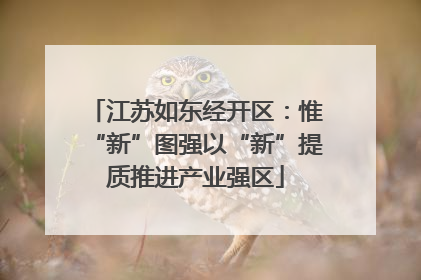 江苏如东经开区：惟“新”图强以“新”提质推进产业强区