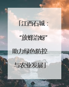 江西石城：“放蜂治蚜”助力绿色防控与农业发展