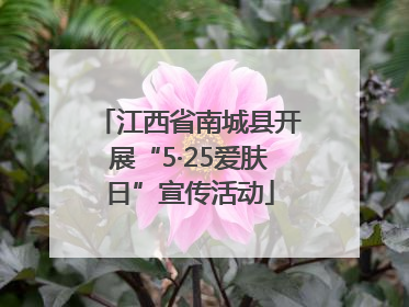 江西省南城县开展“5·25爱肤日”宣传活动