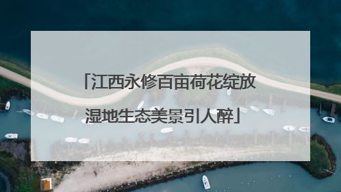 江西永修百亩荷花绽放 湿地生态美景引人醉