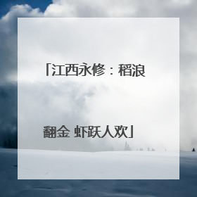 江西永修：稻浪翻金 虾跃人欢