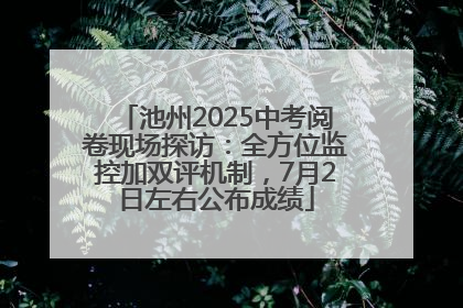 池州2025中考阅卷现场探访：全方位监控加双评机制，7月2日左右公布成绩