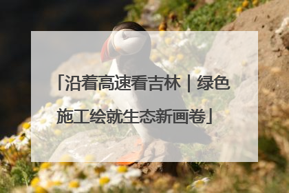 沿着高速看吉林｜绿色施工绘就生态新画卷
