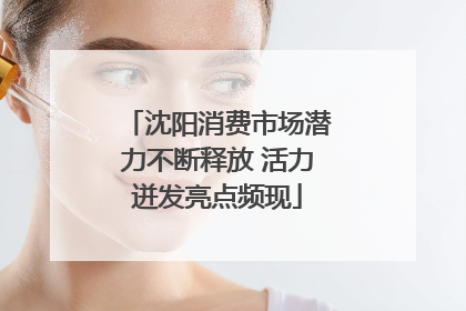 沈阳消费市场潜力不断释放 活力迸发亮点频现