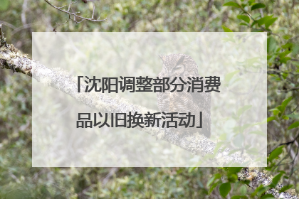 沈阳调整部分消费品以旧换新活动