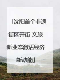 沈阳首个非遗街区开街 文旅新业态激活经济新动能