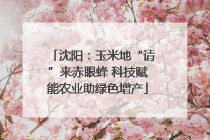 沈阳：玉米地“请”来赤眼蜂 科技赋能农业助绿色增产