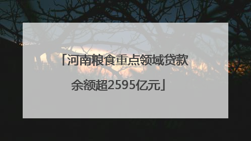 河南粮食重点领域贷款余额超2595亿元