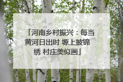 河南乡村振兴：每当黄河日出时 塬上披锦绣 村庄美似画