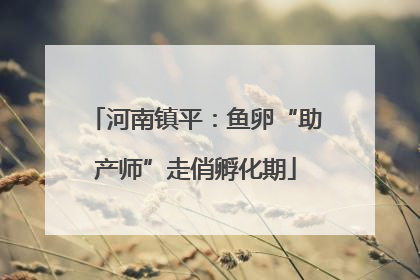 河南镇平：鱼卵“助产师”走俏孵化期