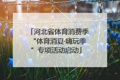 河北省体育消费季“体育消夏·嗨玩季”专项活动启动