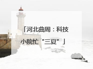 河北曲周：科技小院忙“三夏”