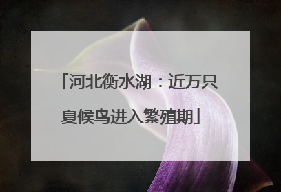 河北衡水湖：近万只夏候鸟进入繁殖期