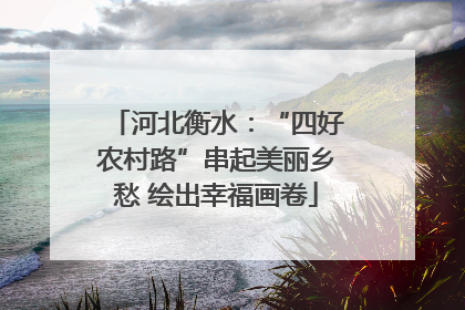 河北衡水：“四好农村路”串起美丽乡愁 绘出幸福画卷