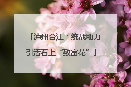 泸州合江：统战助力引活石上“致富花”