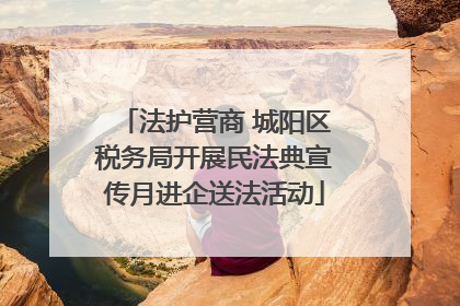 法护营商 城阳区税务局开展民法典宣传月进企送法活动