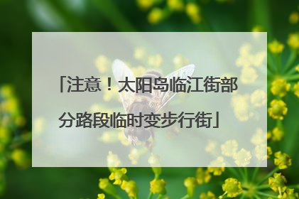 注意！太阳岛临江街部分路段临时变步行街
