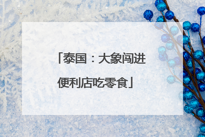 泰国：大象闯进便利店吃零食