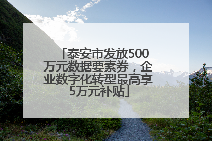 泰安市发放500万元数据要素券，企业数字化转型最高享5万元补贴