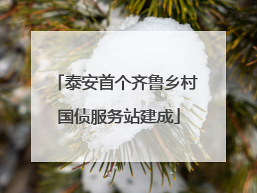 泰安首个齐鲁乡村国债服务站建成