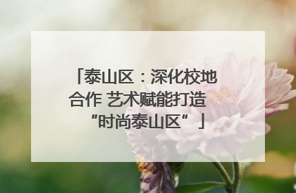 泰山区：深化校地合作 艺术赋能打造“时尚泰山区”