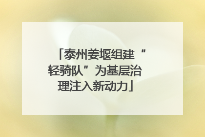 泰州姜堰组建“轻骑队”为基层治理注入新动力