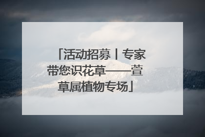 活动招募丨专家带您识花草——萱草属植物专场
