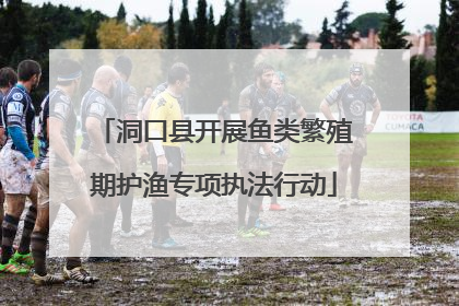 洞口县开展鱼类繁殖期护渔专项执法行动