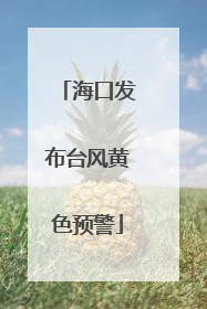 海口发布台风黄色预警