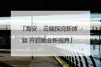 海安：云端探岗新体验 开启就业新视界