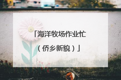 海洋牧场作业忙（侨乡新貌）
