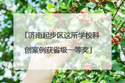 济南起步区这所学校科创案例获省级一等奖