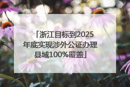 浙江目标到2025年底实现涉外公证办理县域100%覆盖