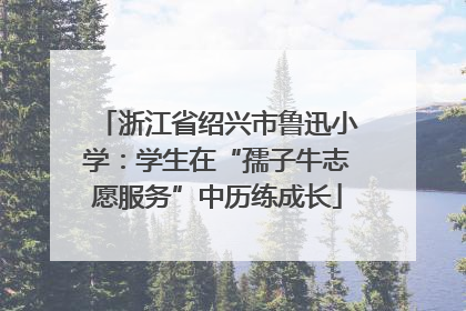 浙江省绍兴市鲁迅小学：学生在“孺子牛志愿服务”中历练成长