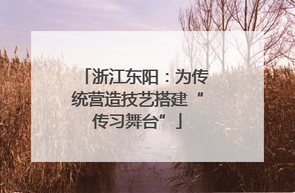 浙江东阳：为传统营造技艺搭建“传习舞台”