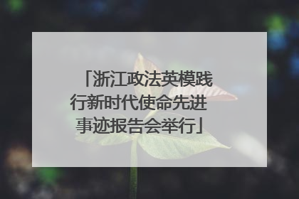 浙江政法英模践行新时代使命先进事迹报告会举行