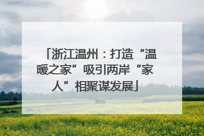 浙江温州：打造“温暖之家”吸引两岸“家人”相聚谋发展