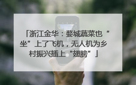 浙江金华：婺城蔬菜也“坐”上了飞机，无人机为乡村振兴插上“翅膀”